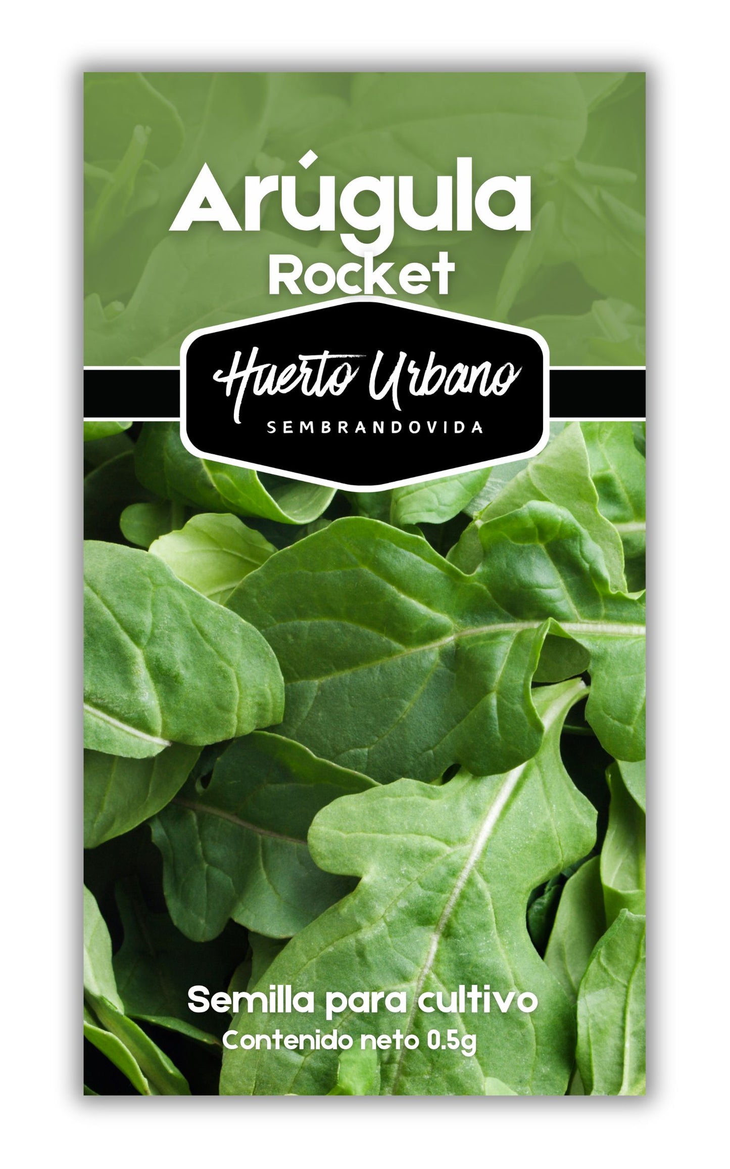 ARUGULA ROCKET