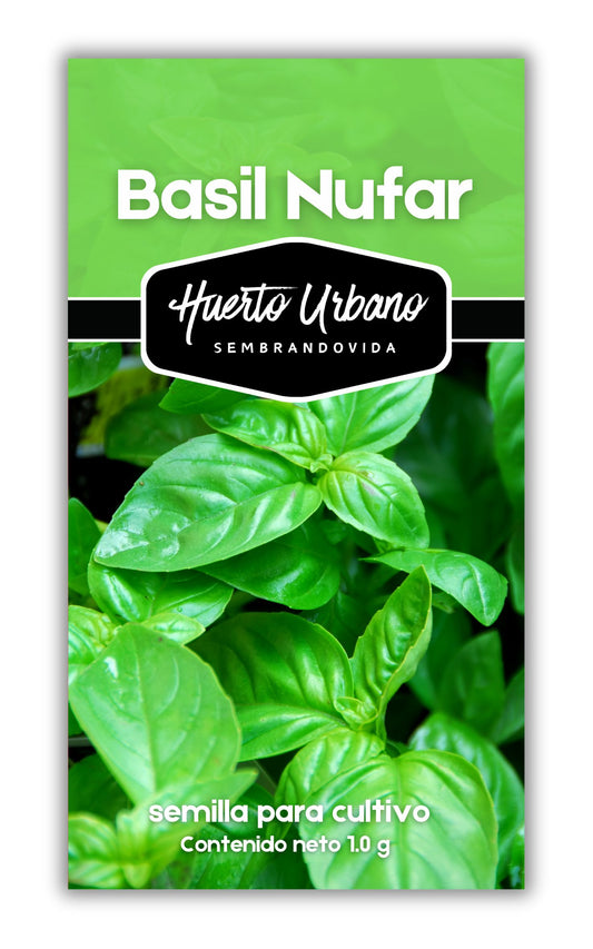 BASIL NUFAR