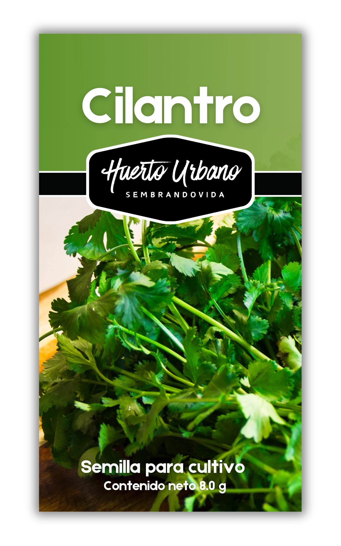 CILANTRO