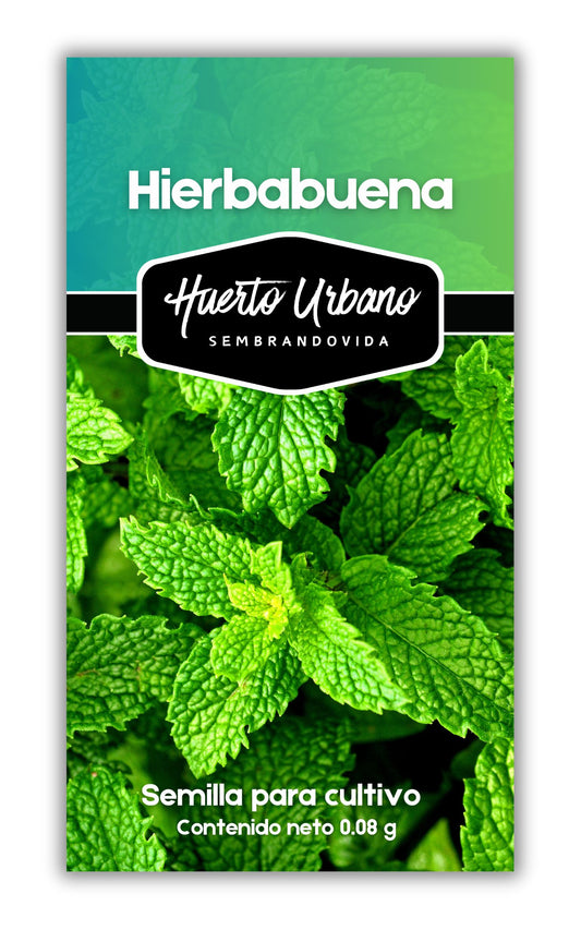 HIERBABUENA