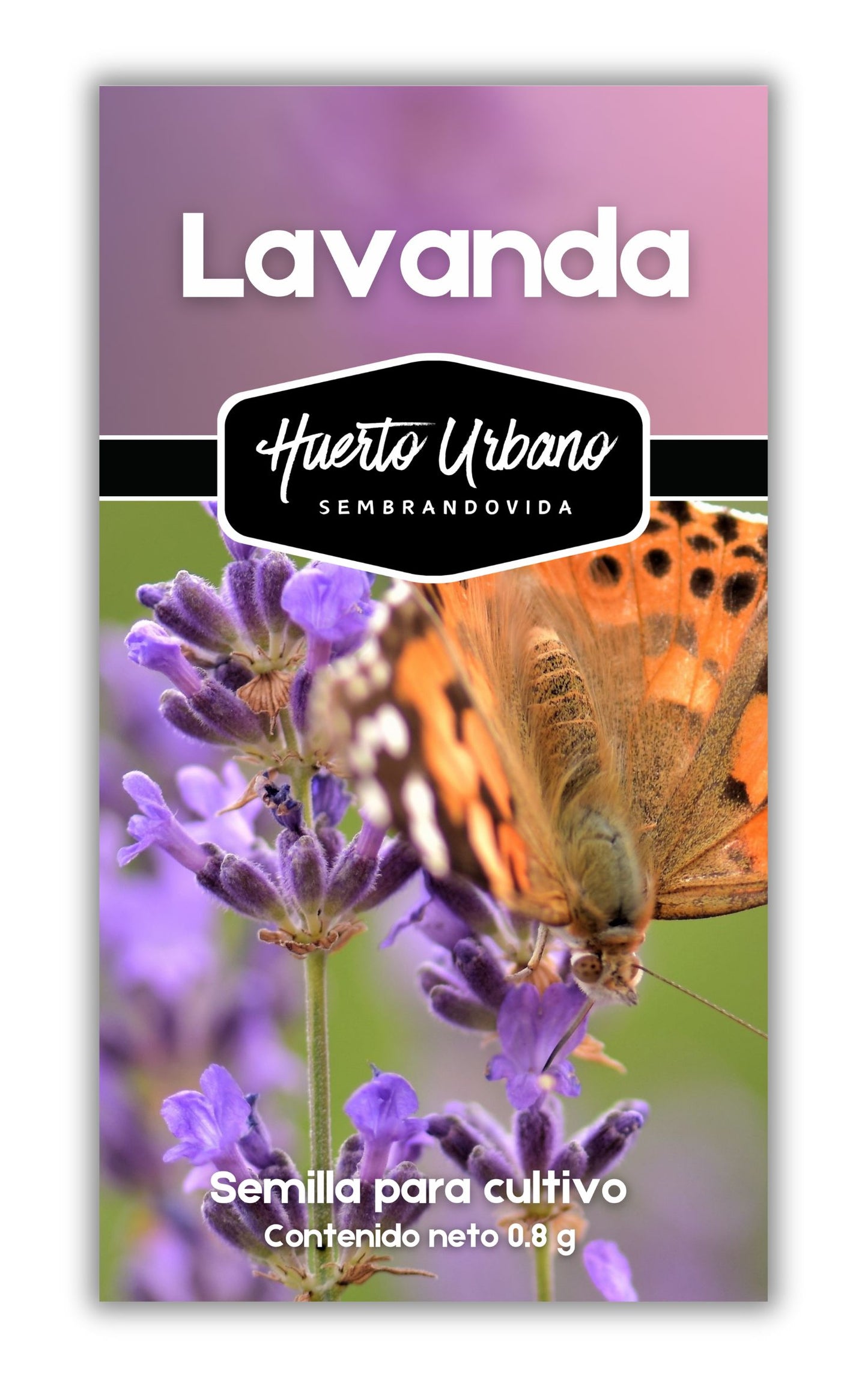 LAVANDA