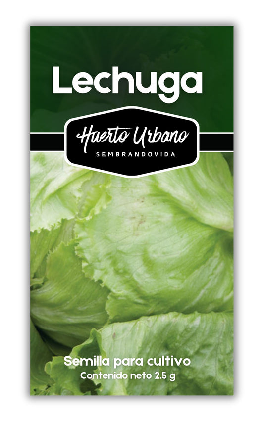 LECHUGA