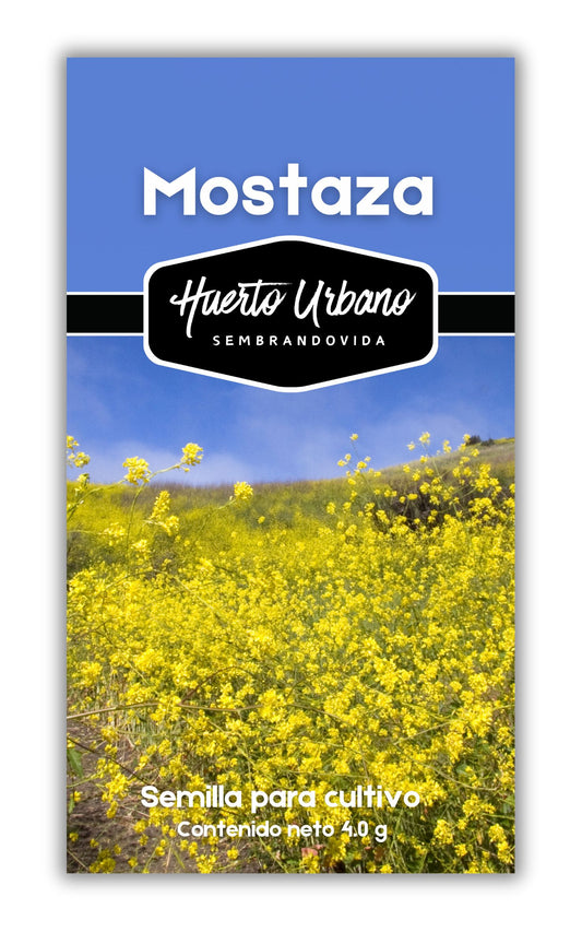 MOSTAZA