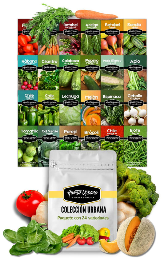 Colección Urbana - Paquete con 24 sobres de vegetales y frutas